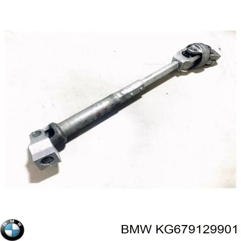 KG679129901 BMW