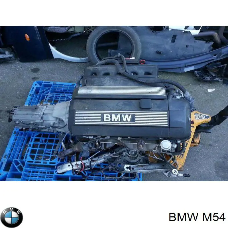  M54 BMW