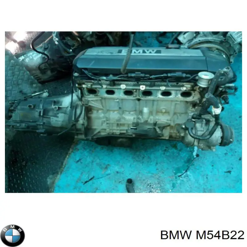 Купить M54B22 BMW Двигатель голый