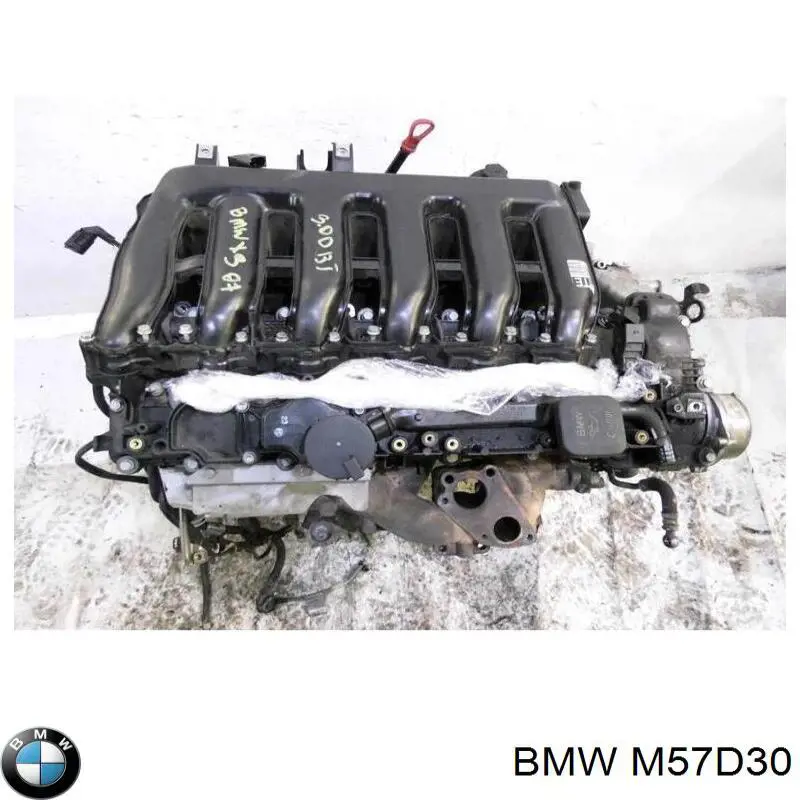 M57D30 BMW Motor completo original y equivalente