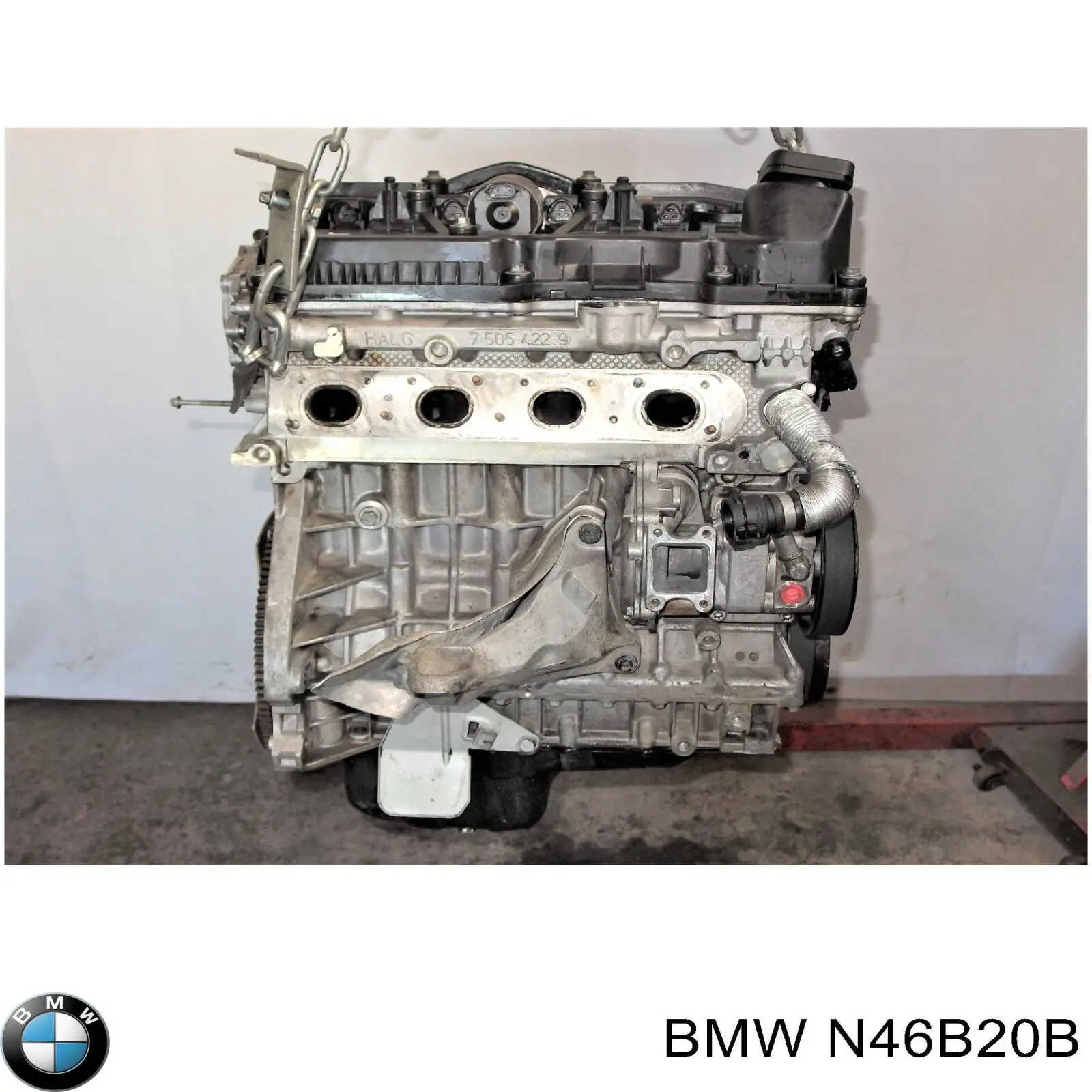 N46B20B BMW Motor completo original y equivalente