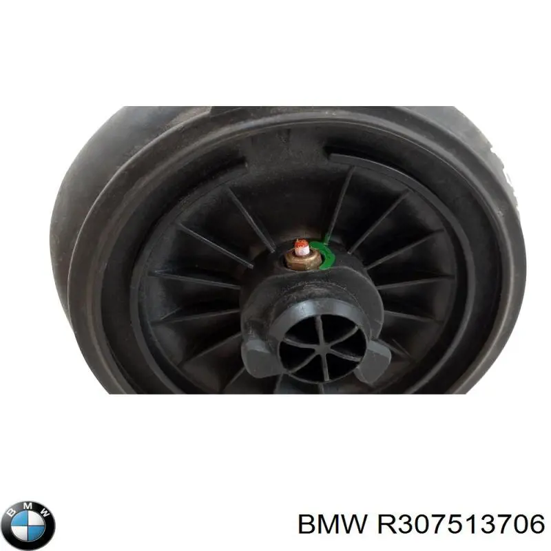 R307513706 BMW 
