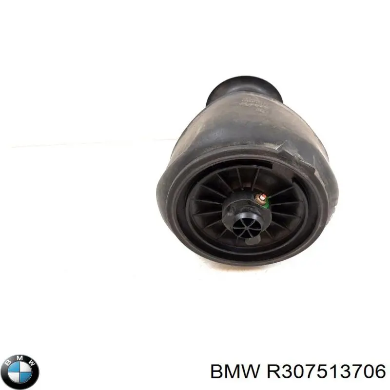  BMW R307513706 цена, от 101.35 USD
