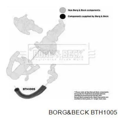 BTH1005 Borg&beck mangueira (cano derivado de radiador EGR, linha de combustível de retorno)