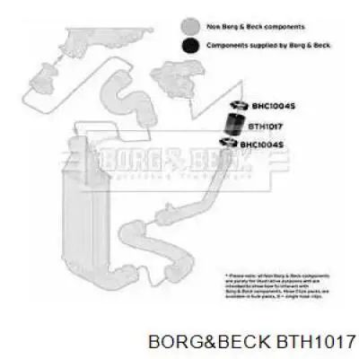 BTH1017 Borg&beck mangueira (cano derivado de intercooler)