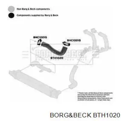 BTH1020 Borg&beck mangueira (cano derivado superior direita de intercooler)