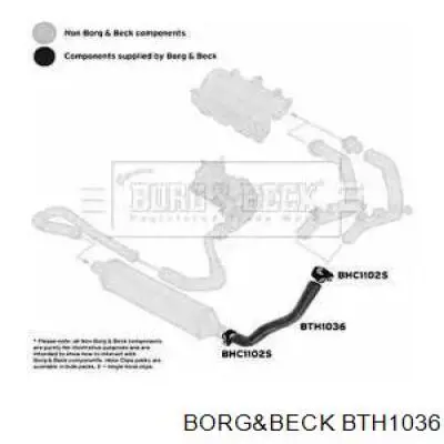 BTH1036 Borg&beck mangueira (cano derivado esquerda de intercooler)