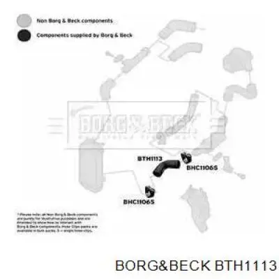 BTH1113 Borg&beck mangueira (cano derivado inferior de intercooler)