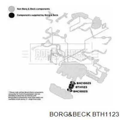 Соединительная перемычка впускных коллекторов BTH1123 Borg&beck