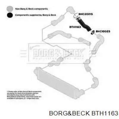 Дроссельный патрубок BTH1163 BORG&BECK