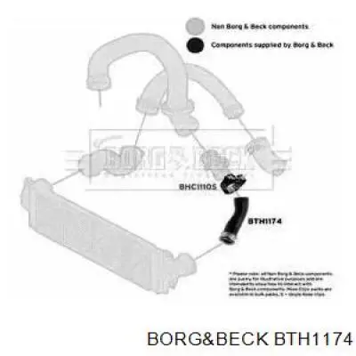 BTH1174 Borg&beck mangueira (cano derivado esquerda de intercooler)