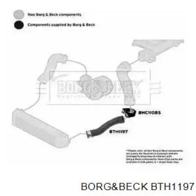 BTH1197 Borg&beck mangueira (cano derivado esquerda de intercooler)