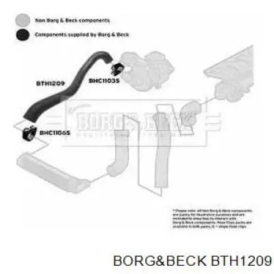 BTH1209 Borg&beck mangueira (cano derivado direita de intercooler)