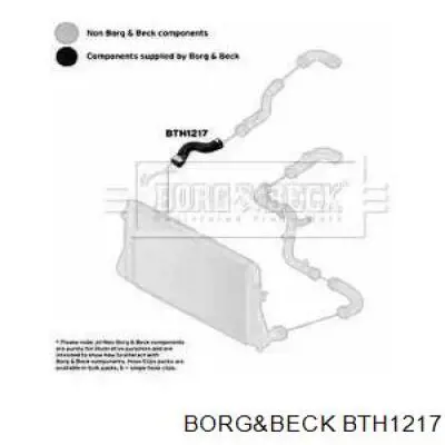 BTH1217 Borg&beck mangueira (cano derivado direita de intercooler)