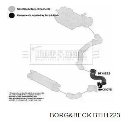  BTH1223 Borg&beck