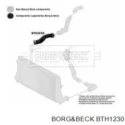 BTH1230 Borg&beck mangueira (cano derivado inferior direita de intercooler)