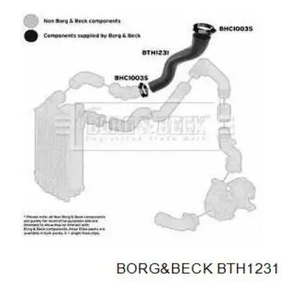 BTH1231 Borg&beck mangueira (cano derivado superior direita de intercooler)