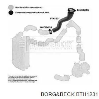 00000382H4 Peugeot/Citroen mangueira (cano derivado superior direita de intercooler)