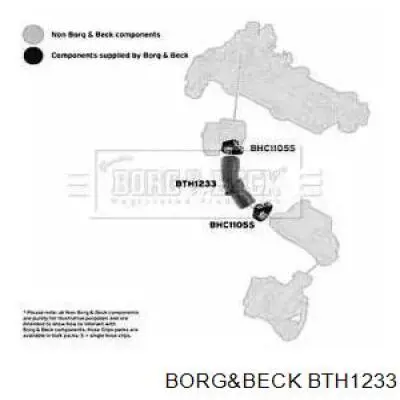 Дроссельный патрубок BTH1233 BORG&BECK