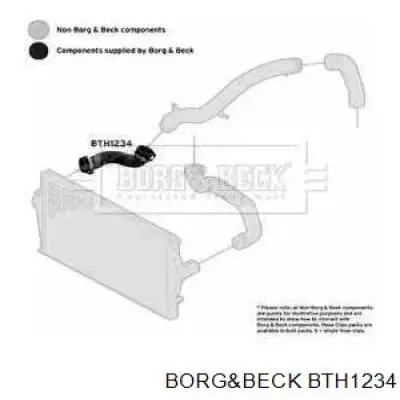 BTH1234 Borg&beck mangueira (cano derivado direita de intercooler)
