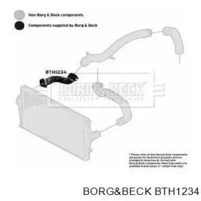 Правый шланг интеркуллера BTH1234 Borg&beck