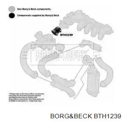 Патрубок воздушный, дроссельной заслонки Borg&beck BTH1239