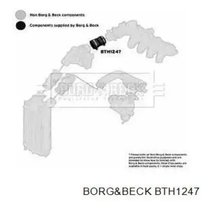BTH1247 Borg&beck cano derivado de ar, da válvula de borboleta