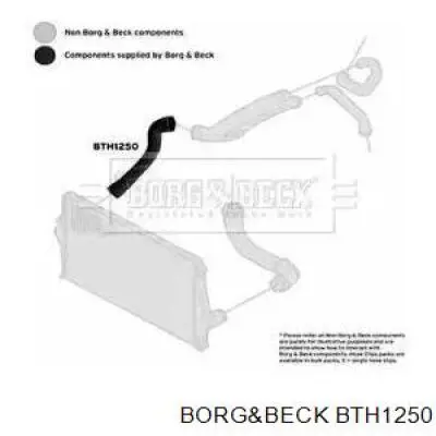  BTH1250 Borg&beck