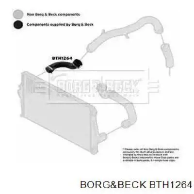 BTH1264 Borg&beck mangueira (cano derivado direita de intercooler)