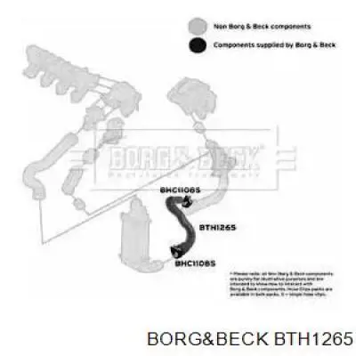 BTH1265 Borg&beck mangueira (cano derivado inferior de intercooler)
