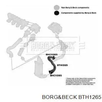 Шланг (патрубок) интеркуллера нижний BTH1265 Borg&beck