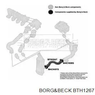 BTH1267 Borg&beck mangueira (cano derivado inferior de intercooler)