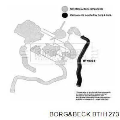 Mangueira (cano derivado) esquerda de intercooler para Dacia Sandero (BS0, 1)