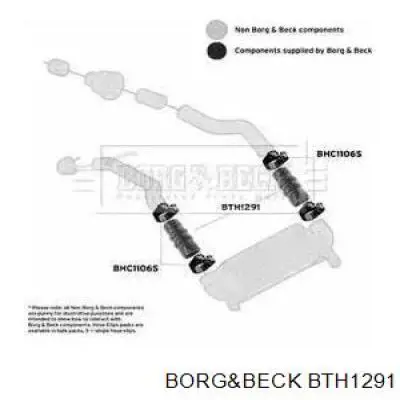 BTH1291 Borg&beck шланг (патрубок интеркуллера)