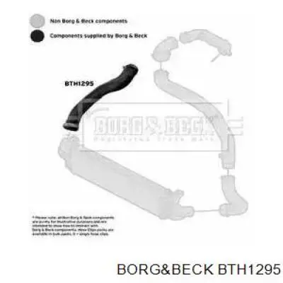 Правый шланг интеркуллера BTH1295 Borg&beck