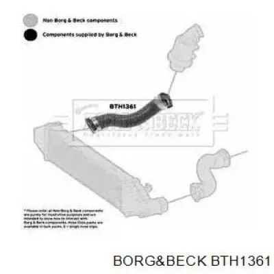 BTH1361 Borg&beck mangueira (cano derivado direita de intercooler)