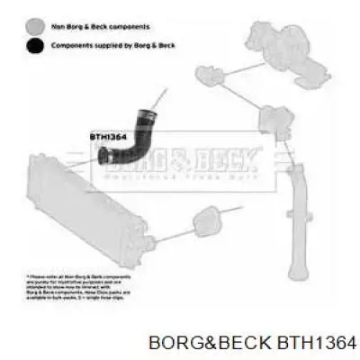 Правый шланг интеркуллера BTH1364 Borg&beck