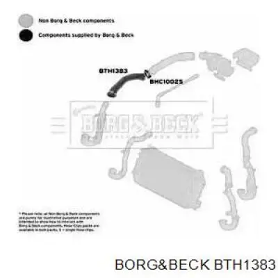 BTH1383 Borg&beck mangueira (cano derivado direita de intercooler)