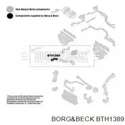 BTH1389 Borg&beck mangueira (cano derivado superior direita de intercooler)