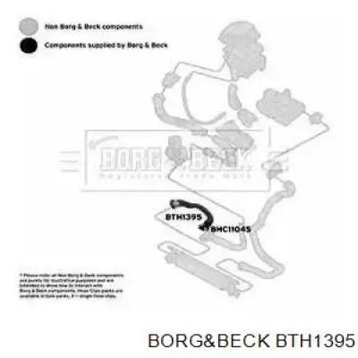  BTH1395 Borg&beck