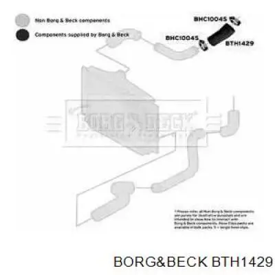 BTH1429 Borg&beck 