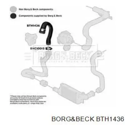  BTH1436 Borg&beck