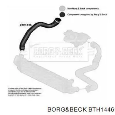 BTH1446 Borg&beck mangueira (cano derivado direita de intercooler)