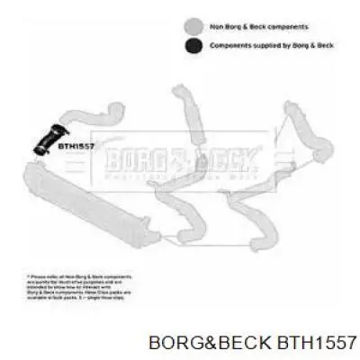 Шланг (патрубок) интеркуллера нижний правый BTH1557 Borg&beck