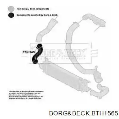 BTH1565 Borg&beck mangueira (cano derivado direita de intercooler)