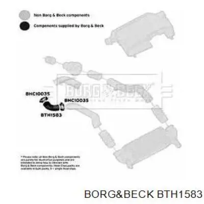 1139450 Ford mangueira (cano derivado superior direita de intercooler)