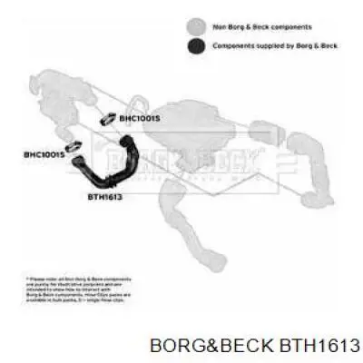 Патрубок турбины выхлопных газов BTH1613 Borg&beck