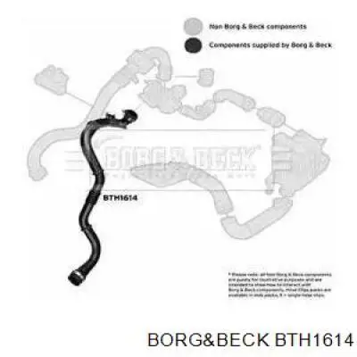 BTH1614 Borg&beck mangueira (cano derivado esquerda de intercooler)
