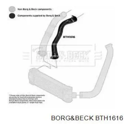 1420864 Market (OEM) mangueira (cano derivado direita de intercooler)