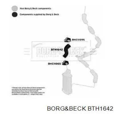 BTH1642 Borg&beck 